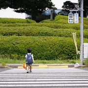 狮子的藏身处 ライオンの隠れ家