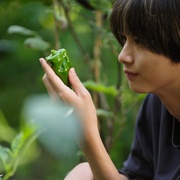 天狗的厨房 第二季 天狗の台所 Season2