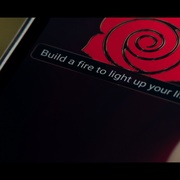 红玫瑰 Red Rose