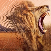 大卫·艾登堡：大自然的声音 Secret World of Sound with David Attenborough