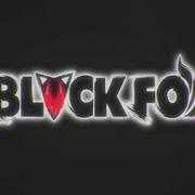 黑狐：忍者时代 BLACKFOX: Age of the Ninja