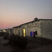 成为一只珍珠鸡 On Becoming a Guinea Fowl