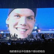 电音奇才艾维奇：蒂姆原色 Avicii - I'm Tim