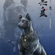 遮天 年番2