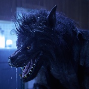 异变狼人 Werewolves