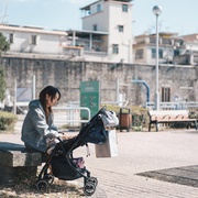 虎毒不