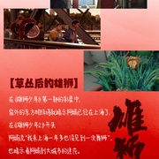 点击查看图片 雄狮少年2