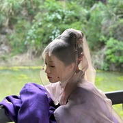 锦囊妙录