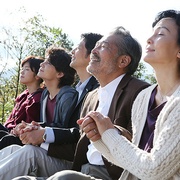 樱花盛开 サクラサク