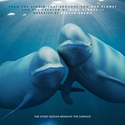 我们的海洋 Our Oceans