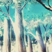 精灵宝可梦：时拉比 穿越时空的相遇 劇場版ポケットモンスター セレビィ 時を超えた遭遇