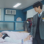 心脏染色 하트 스테인