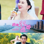 我的88次逃婚