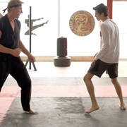 眼镜蛇 第一季 Cobra Kai Season 1