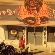 眼镜蛇 第一季 Cobra Kai Season 1
