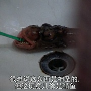 异形再现 The Deadly Spawn