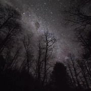 荒野独居 第三季 Alone Season 3