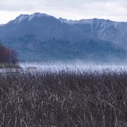 荒野独居 第三季 Alone Season 3