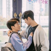 冬后是樱花 겨울 지나 벚꽃