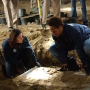 犯罪现场调查 第五季 CSI: Crime Scene Investigation Season 5