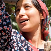 无花果树下 Taht alshajra