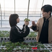 未知的首尔 미지의 서울
