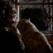 点击查看图片 黑色圣诞节 Black Christmas