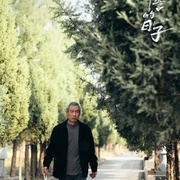 刑警的日子