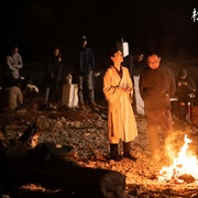 光合计划