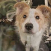 我会好好的