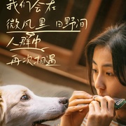 我会好好的