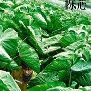 除恶