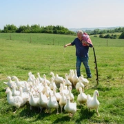 克拉克森的农场 第五季 Clarkson's Farm Season 5