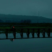 八只鸡