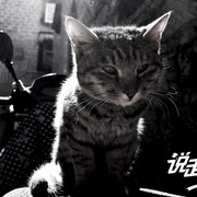 说走就走之不说再见