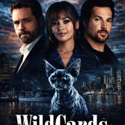 百变王牌 第三季 Wild Cards Season 3