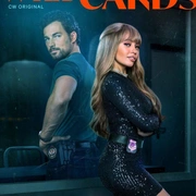 百变王牌 第二季 Wild Cards Season 2