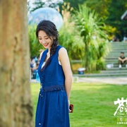 苍茫的天涯是我的爱
