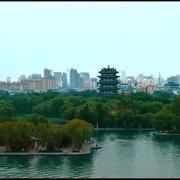 格桑花之爱在前行