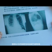 老潘的归途