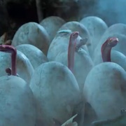 龙潭巨兽