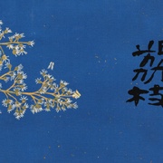 长安的荔枝