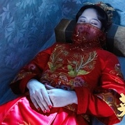 英叔之古墓狂魔