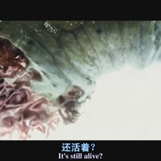 魔窟 The Cave
