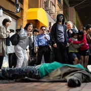 忍者之家 House of Ninjas