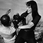 点击查看图片 小野猫公路历险记 Faster, Pussycat! Kill! Kill!