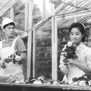 只有女人的夜晚 女ばかりの夜