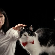 喵星人的奇思妙想 Inside the Mind of a Cat