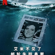 艾米不见了: 邮轮失踪悬案 Amy Lynn Bradley Is Missing
