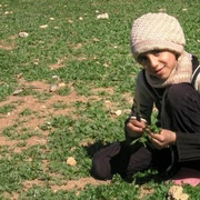 点击查看图片 小巴勒斯坦——围城日记 Little Palestine (Diary of a Siege)